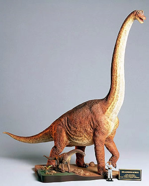 Tamiya 60106 Brachiosaurus Diorama Set 1 Tamiya 60106 Brachiosaurus Diorama Set